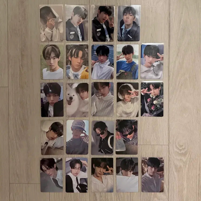[BUNJANG] TWS Dohoon Bundle Set Photocard / TWS 투어스 도훈 포카 일괄