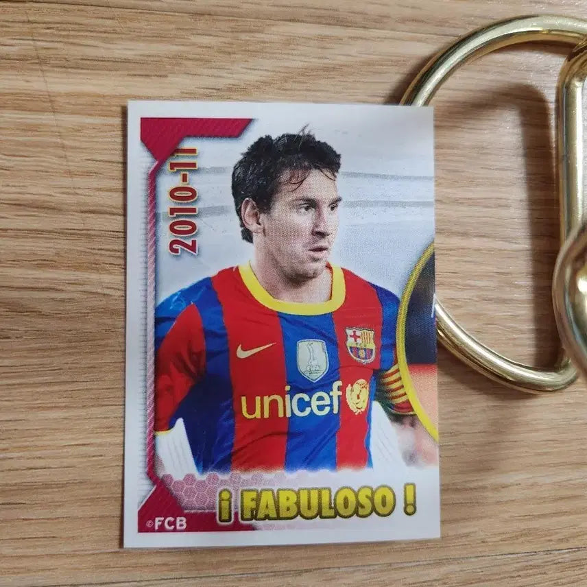 [BUNJANG] 2010-11 Panini Barcelona Lionel Messi Soccer Card / 2010-11파니니 바르셀로나 리오넬 메시 스티커축구카드