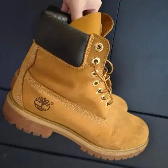 [BUNJANG] Timberland 6-Inch Premium Waterproof Boots 7W / (250-255) 팀버랜드 워커 6인치 7w