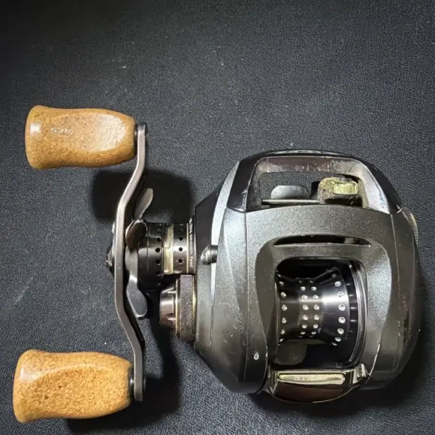 [BUNJANG] Daiwa Steez Initial Model Fishing Reel / 스티즈