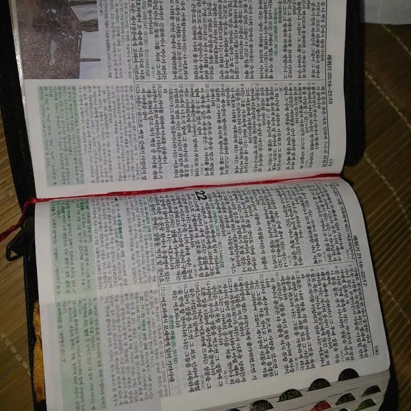 [BUNJANG] Vintage Life Bible Study Edition / 빈티지라이프성경 연구공부하시는분