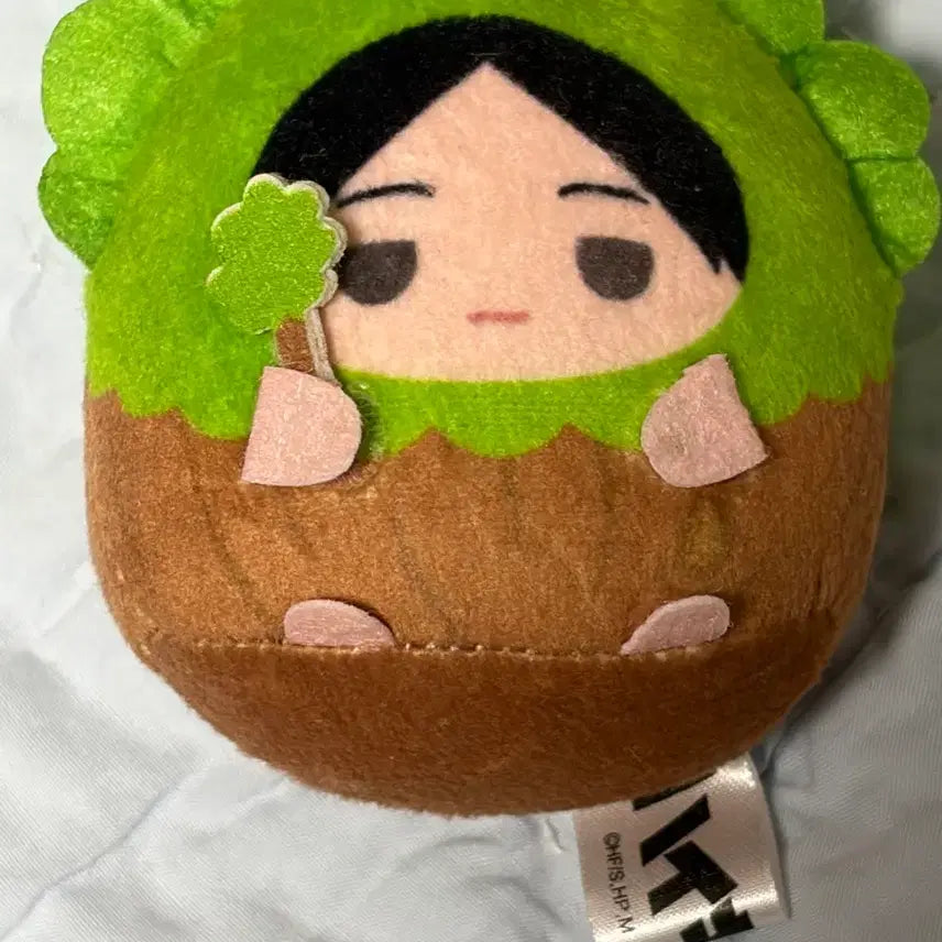 [BUNJANG] Haikyuu!! Tenorinezu Kunimi Plush Doll / 하이큐 테노린즈 쿠니미 인형 나무
