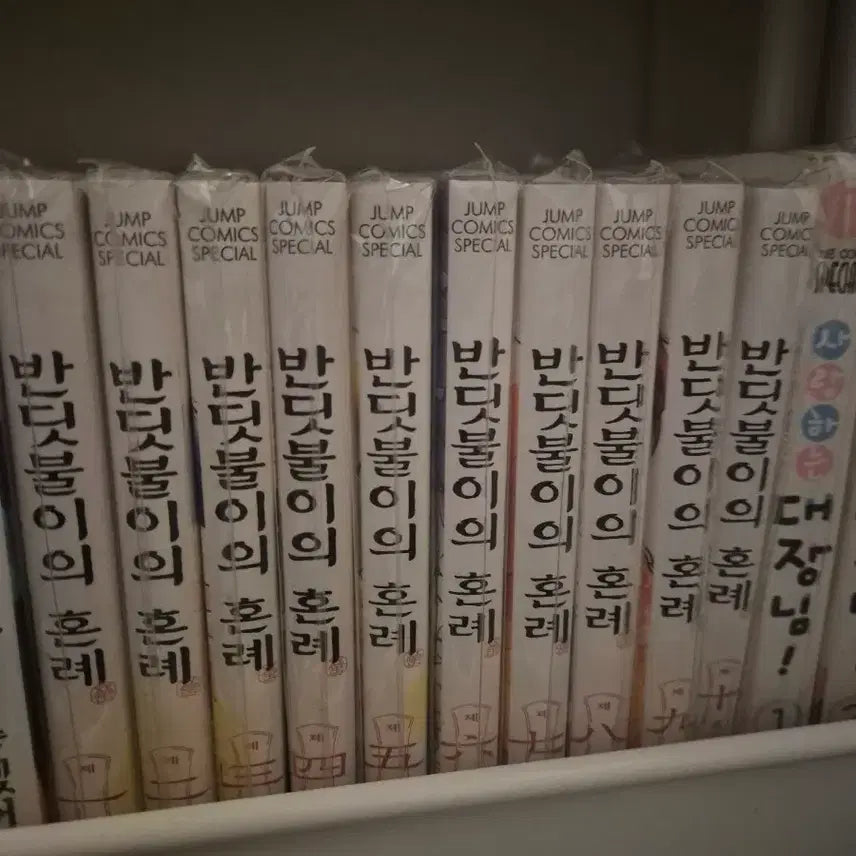 [BUNJANG] Firefly's Wedding Full Set Volumes 1-10 / 반딧불이의 혼례 1~10권 일괄 전권