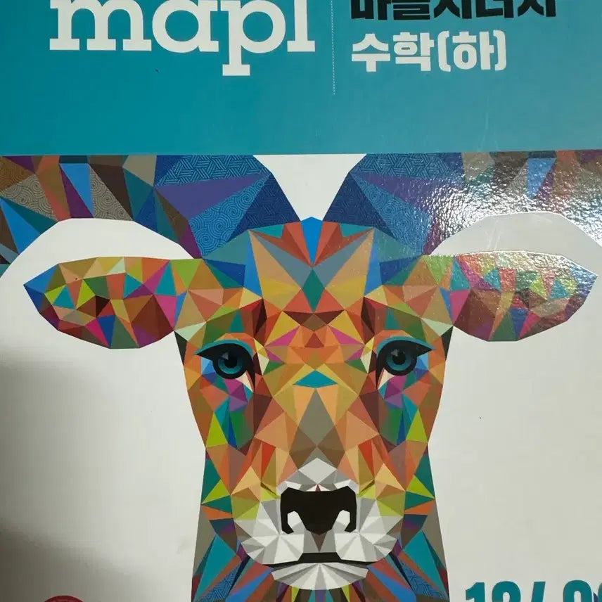 [BUNJANG] Synergy Math (Lower) Textbook for Maples Math Internal Exam Preparation / 마플 내신대비 수학 문제집 시너지 수학(하)