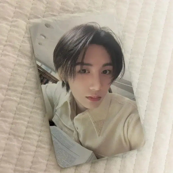 [BUNJANG] BOYNEXTDOOR Taesan Soundwave Lucky Draw Photocard / 보이넥스트도어 보넥도 태산  HOW 하우 사운드웨이브 럭드 포카 양도 판매