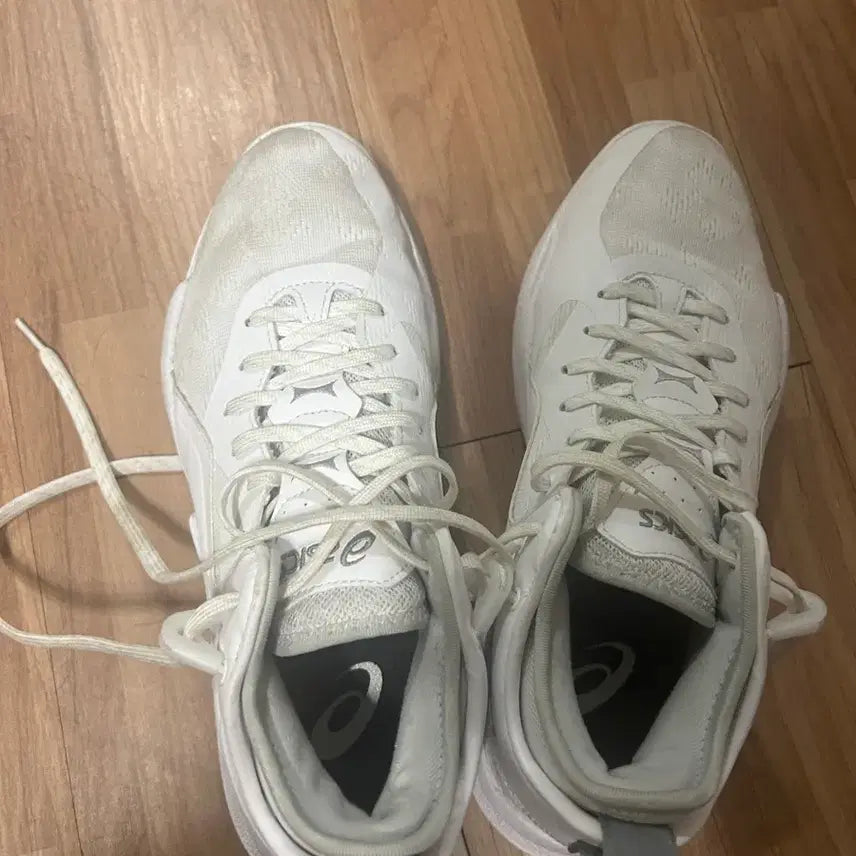 [BUNJANG] Nova Surge Low 2 / 노바서지 로우 2