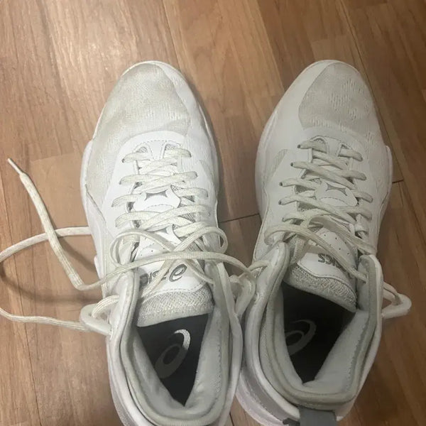 [BUNJANG] Nova Surge Low 2 / 노바서지 로우 2