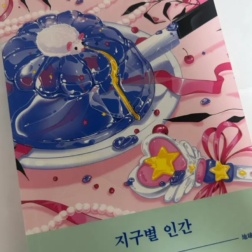 [BUNJANG] Sayaka Murata "Earthlings" Novel / 책 지구별 인간 팔아여 판매