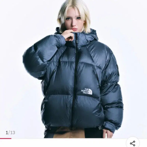 [BUNJANG] The North Face Project Down Jacket RDS / 노스페이스 프로젝트 다운 자켓 (RDS)