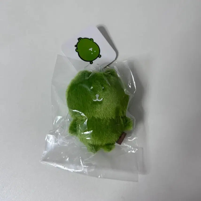 [BUNJANG] Nagano Nodding Bear Matcha Bear Keychain / 나가노 농담곰 컬러곰 말차 키링