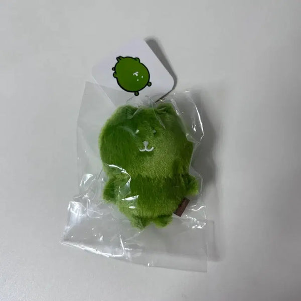[BUNJANG] Nagano Nodding Bear Matcha Bear Keychain / 나가노 농담곰 컬러곰 말차 키링