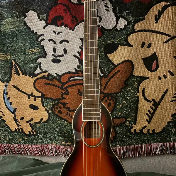 [BUNJANG] Seagull TF-10 TBS Travel Guitar / 세고비아 tf-10 tbs 여행용 기타