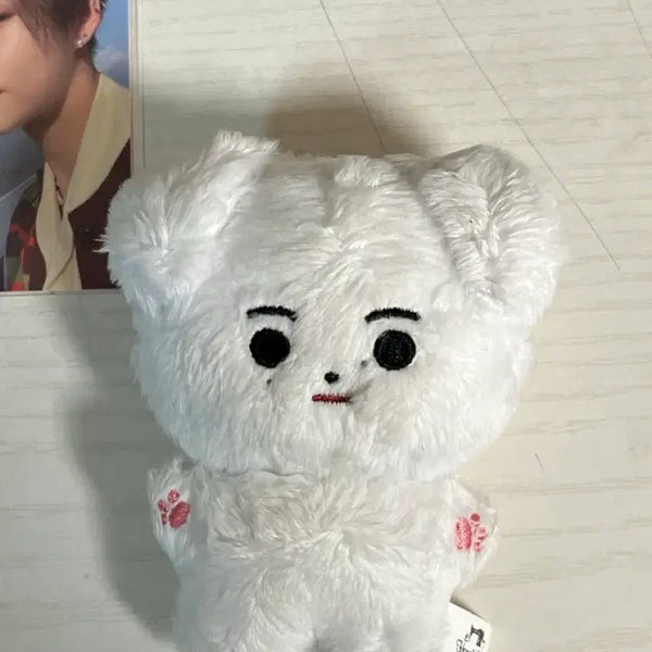 [BUNJANG] Enhypen ENniversary EN-imals Korea Ver. Plush Toy / 엔하이픈 엔니멀즈 한국개