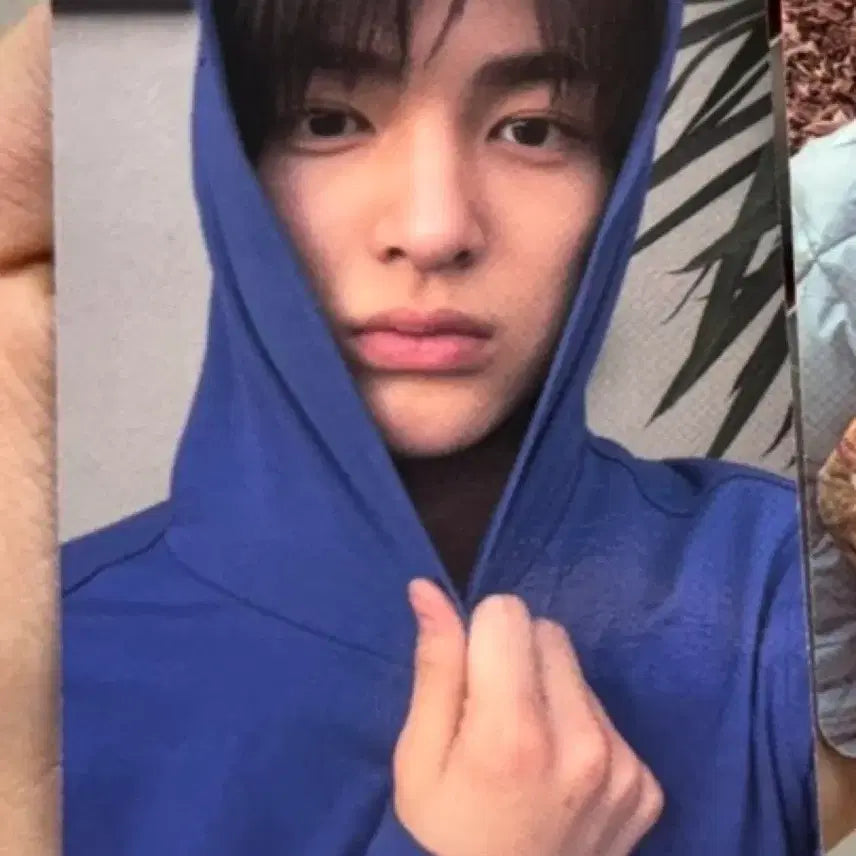 [BUNJANG] Ahn Geonho Greengreen Street Version Photocard / 안건호 greengeeen 스트릿 포토카드