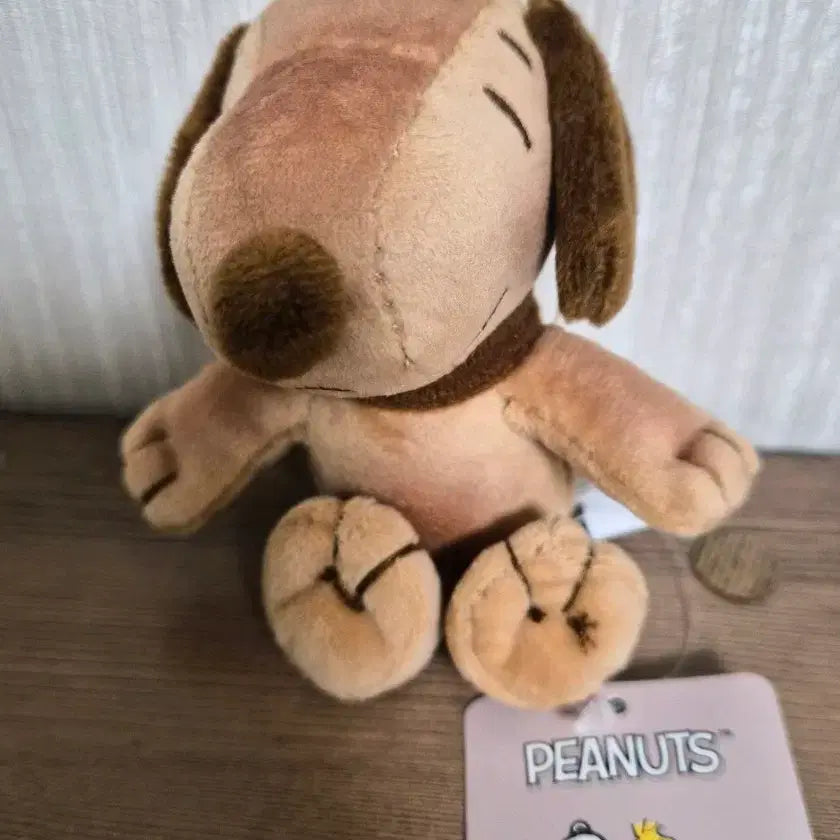 [BUNJANG] Snoopy Brown Keychain 9cm / 스누피 키링 9cm (새상품)