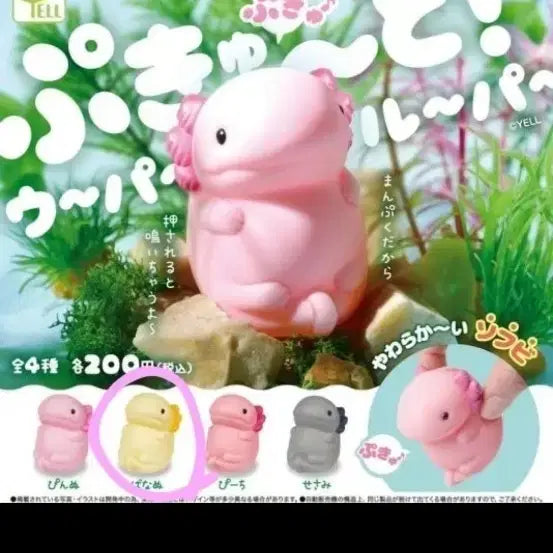 [BUNJANG] Axolotl Gacha Figure Set (4 Types) / 우파루파 가챠 4종 세트