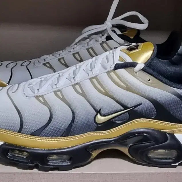 [BUNJANG] Nike Air Max Plus TN 50th Anniversary Limited Edition Gold Finish (Size 290) / 나이키 에어맥스 플러스 TN 50주년 한정판 골드피니시 290사이즈 새상품