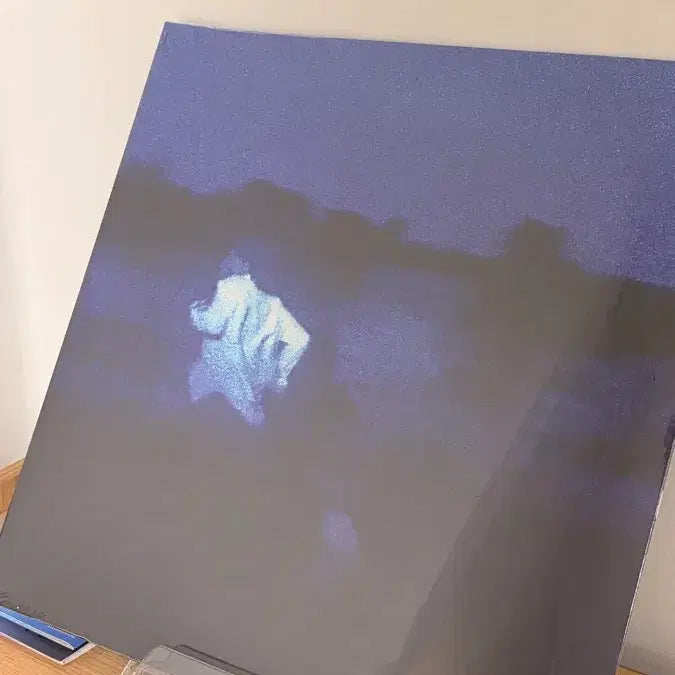 [BUNJANG] Daniel Caesar Never Enough LP (Sealed) / [미개봉] Daniel ceasar never enough lp 다니엘 시저