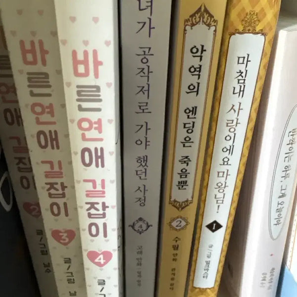[BUNJANG] Various Korean Manhwa Bundle Set / 만화책 일괄판매 ( 마침내 사랑이에요 마왕님! , 바연길, 악엔죽 , 그공사)