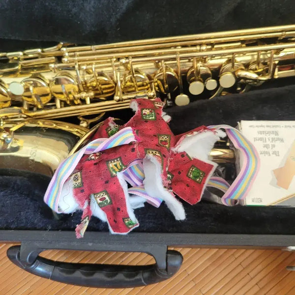 [BUNJANG] Roy Benson Gold Color Alto Saxophone / 골드칼라 알토 섹스폰