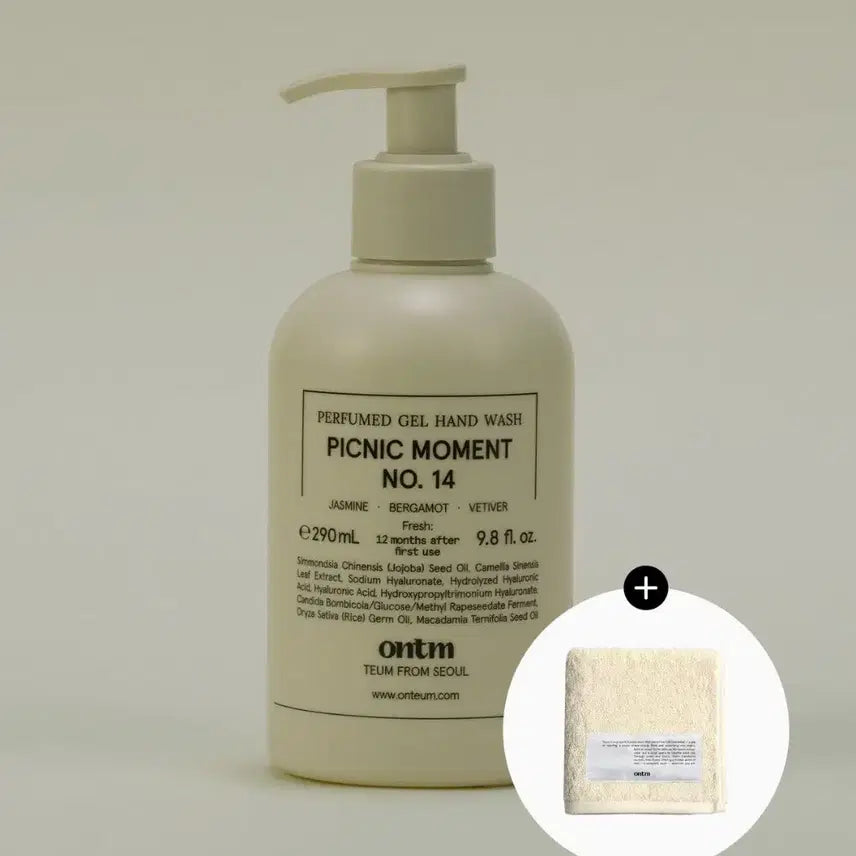 [BUNJANG] Ontem Picnic Moment Hand Wash 290ml / 온틈 핸드워시 피크닉 모먼트 290ml
