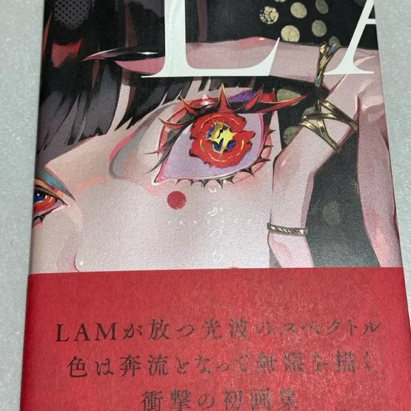 [BUNJANG] LAM Ikazuchi Illustrated Book / LAM이카즈치 일러스트집