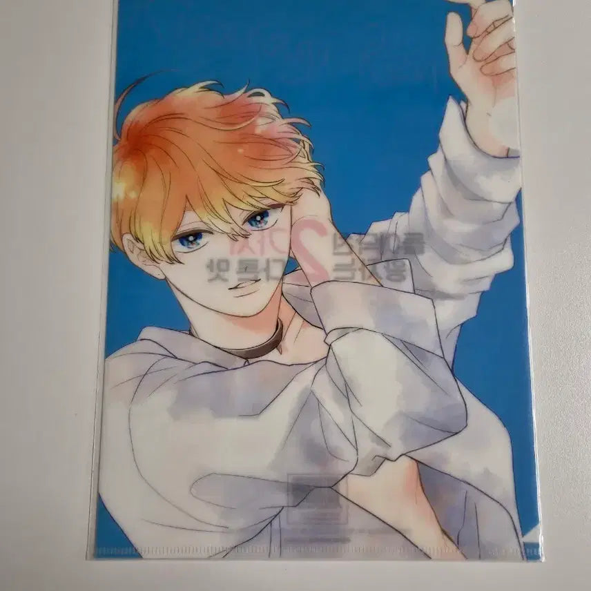 [BUNJANG] Dridakin Prince Clear File L-Holder (2 Types) / 들이닥친 왕자는 2가지 다른 맛 클리어파일 L홀더