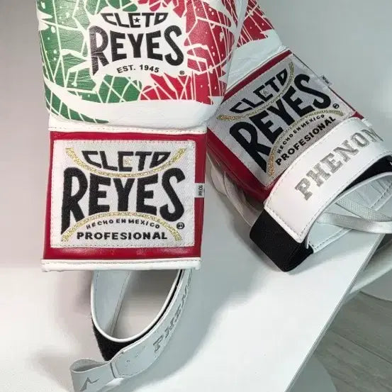 [BUNJANG] Cleto Reyes Safetec 10oz Boxing Gloves / 클레토 레예스 세이프텍 10온스 판매