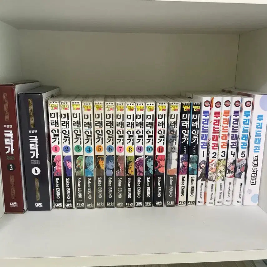 [BUNJANG] Future Diary Complete Set + Mosaic + Paradox / 미래일기 전권+모자이크+패러독스