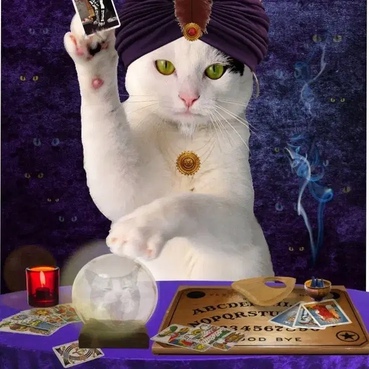 [BUNJANG] Tarot Reading Services / ~타로 봐드립니다 ~