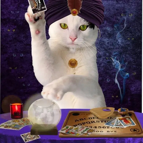 [BUNJANG] Tarot Reading Services / ~타로 봐드립니다 ~