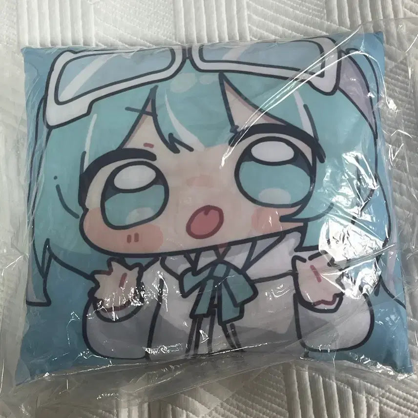[BUNJANG] Arashi Tabi Cushion (Double-Sided) / 타비 쿠션 새상품