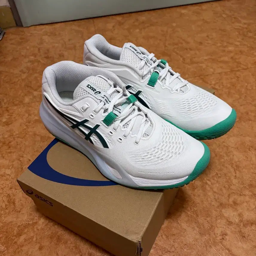 [BUNJANG] ASICS Gel-Resolution X Omnicourt Men's Tennis Shoes / 아식스 젤 레졸루션 X 옴니코트 인조잔디 250