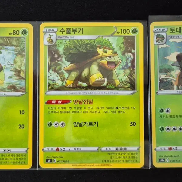 [BUNJANG] Pokemon Seedot, Nuzleaf, Shiftry Set / 포켓몬 카드 모부기 수풀부기 토대부기 세트