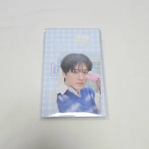 [BUNJANG] Stray Kids Little House Secret Acrylic Stand Changbin / 스트레이키즈 리틀하우스 시크릿 아크릴스탠드 포카 창빈 돼끼 6기 팬미팅 엠디 굿즈 little house secret acrylic stand
