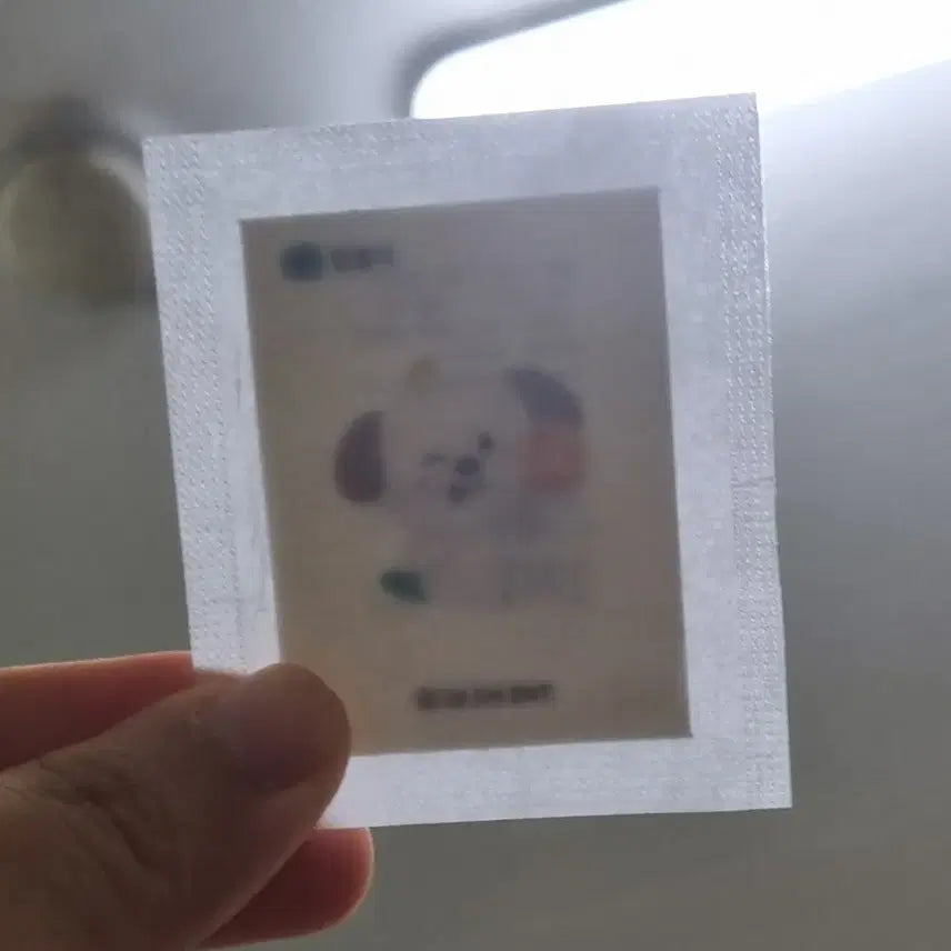 [BUNJANG] RIIZE Meng-Ryongii Stiker (Sealed) / 미개봉) 라이즈 멍룡이 띠부씰 팔아요