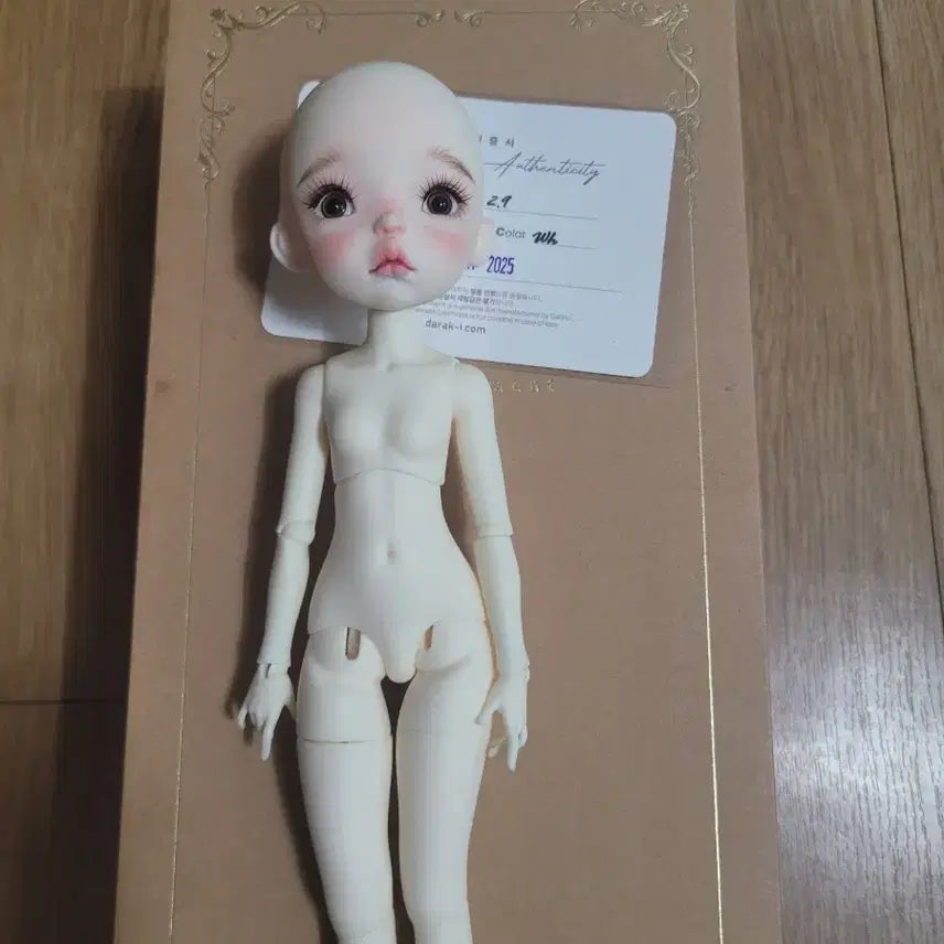 [BUNJANG] Darakai Nicole Ball-Jointed Doll / 다락아이 니콜  육일돌 구체관절 인형