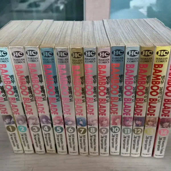 [BUNJANG] Bamboo Blade Complete Manga Set (Volumes 1-14) / [애니검도 만화책] 뱀부 블레이드 전권 14권 완결