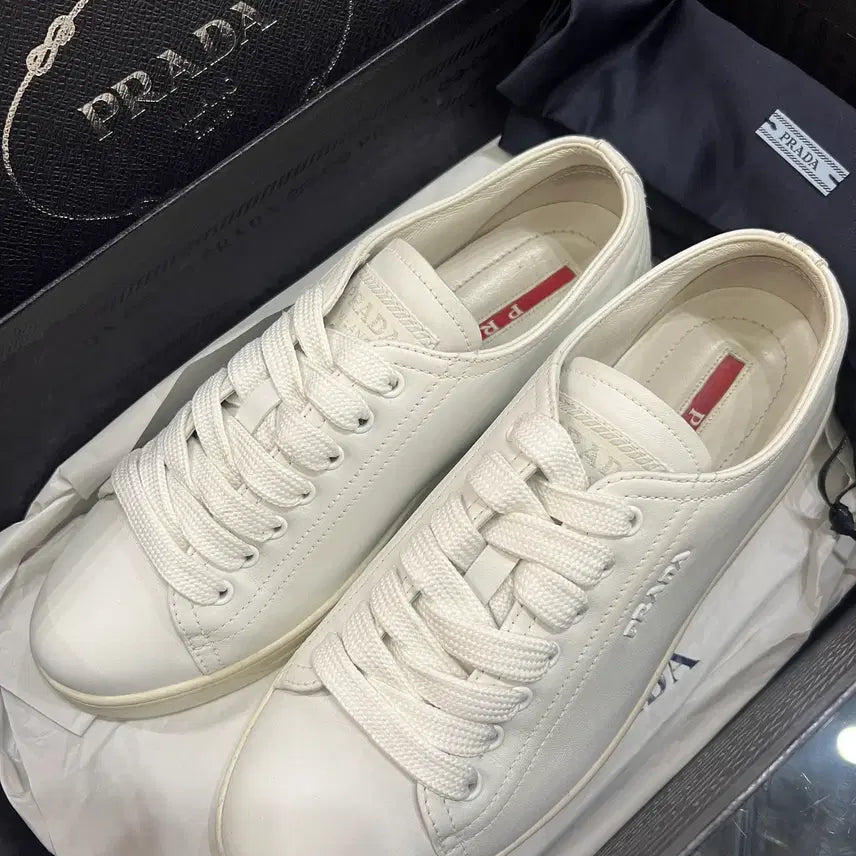 [BUNJANG] Prada Logo White Sneakers / 당일배송/프라다 로고 화이트 스니커즈 36.5(235)
