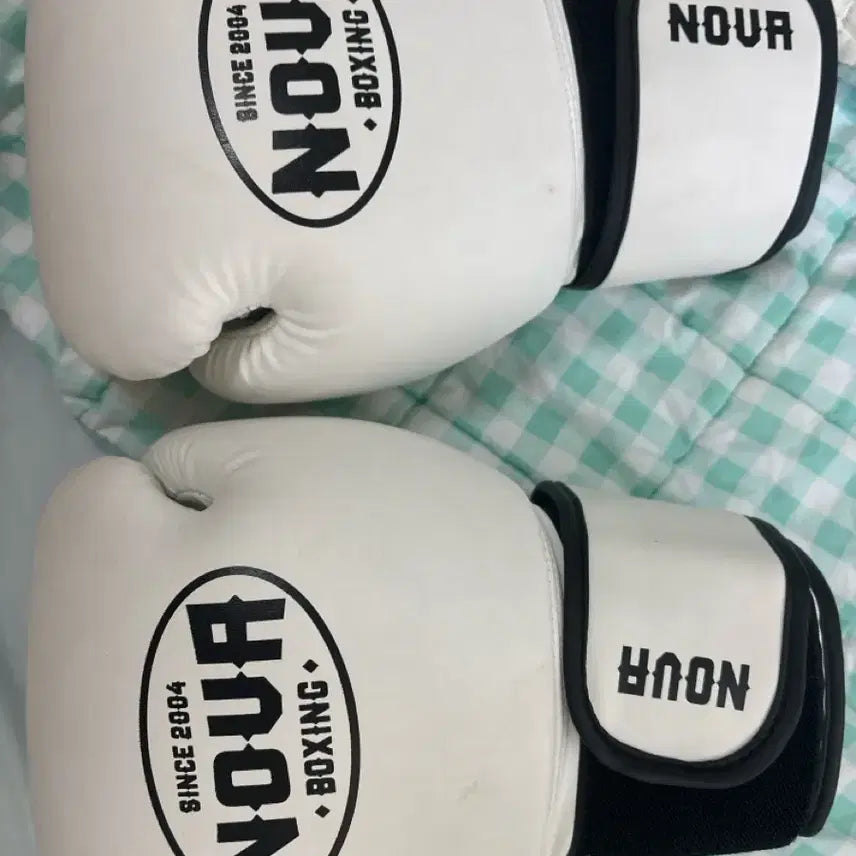 [BUNJANG] Nova Boxing Gloves White / 노바 복싱글러브 화이트