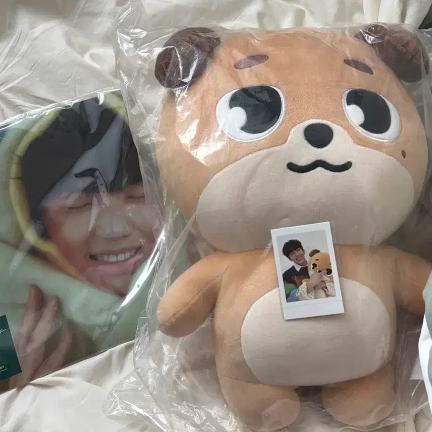 [BUNJANG] Day6 Giant Doll Sealed Bundle Set / 데이식스 자멀 돈 (미개봉, 폴라포함, 덤증정)
