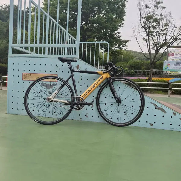 [BUNJANG] Constantine Bernard 2017 Pixie Fixed Gear Bicycle / 콘스탄틴 버나드 2017년 판/대