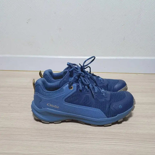 [BUNJANG] Oboz Katabatic Low Trekking Shoes 260 / 오보즈 카타바틱 로우 트레킹화 260