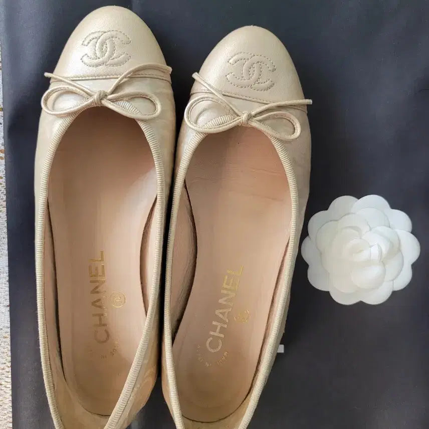 [BUNJANG] Chanel Ballerina Flats Beige / (정품) 샤넬 발레리나 플랫 슈즈 베이지