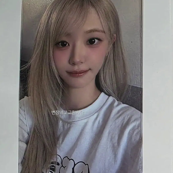 [BUNJANG] Hina(Cho-dan) Magenta Photocard / qwer 우리은행 포카 쵸단 포토카드 hina 쵸단 마젠타 히나 시연 홍지혜 이아희 이시연
