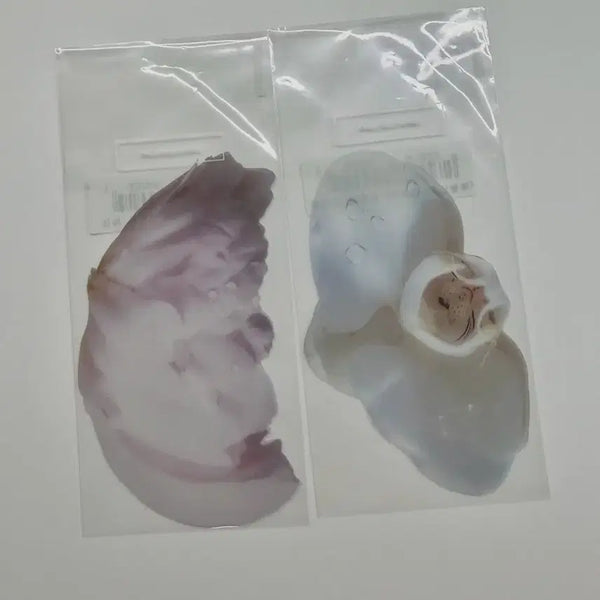 [BUNJANG] Lee Okto Kyobo Book Centre Collaboration Peony Butterfly Orchid Bookmark (Sealed) / 이옥토 교보문고 콜라보 작약 호접란 책갈피 미개봉 새상품