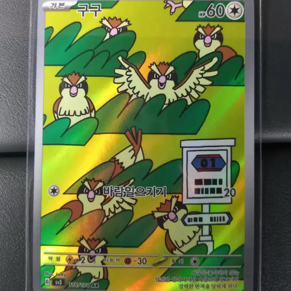 [BUNJANG] GuguAR Pokemon Card / 구구AR 포켓몬카드