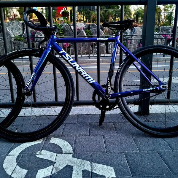 [BUNJANG] Tsunami SNM100 Chameleon Frame - Size S / 쓰나미 카멜레온 snm100 프레임 S사이즈 판/대 설명필독