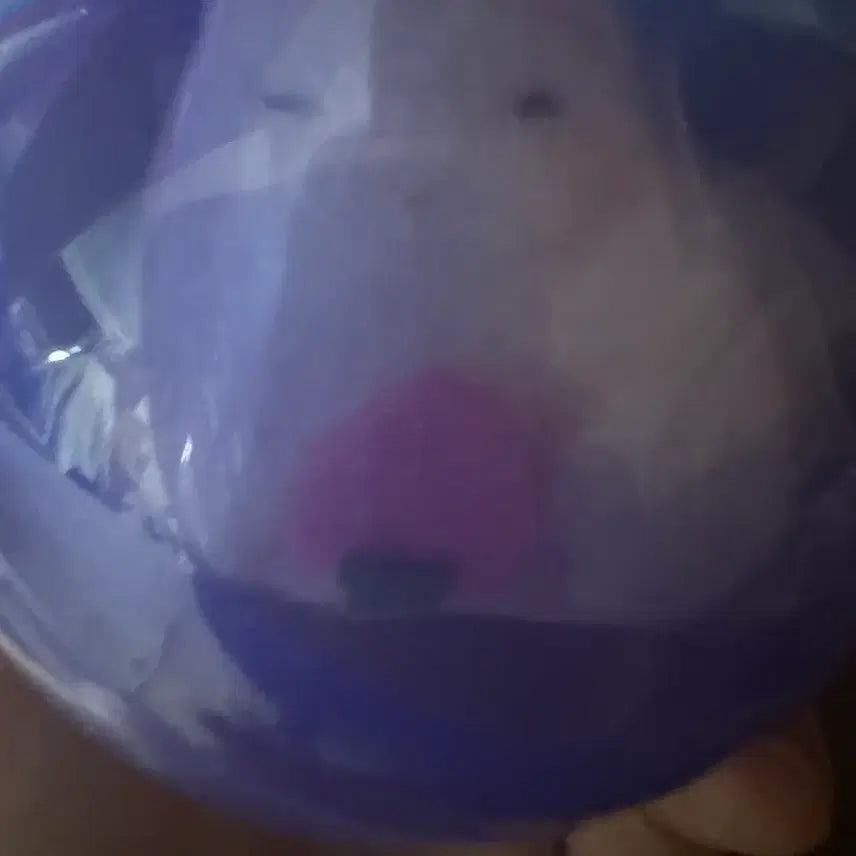 [BUNJANG] Onigiri Ham Strawberry Ham Keyring / 오니기리 햄 키링 딸기햄