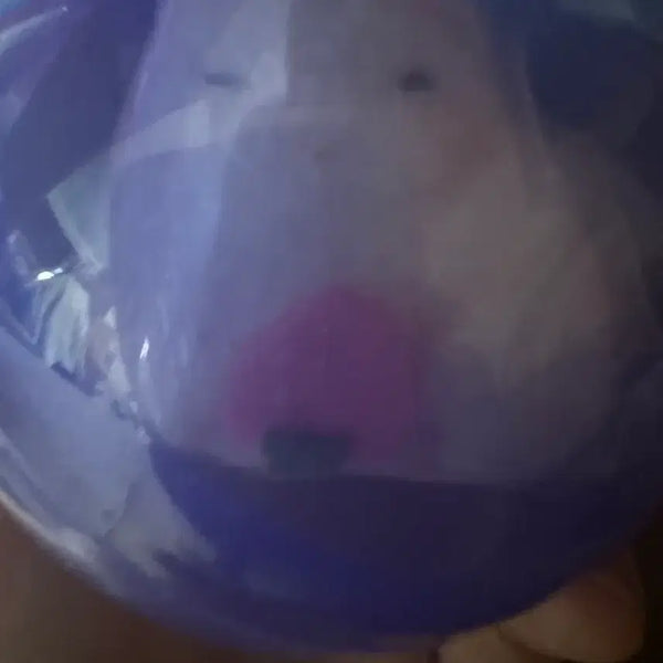 [BUNJANG] Onigiri Ham Strawberry Ham Keyring / 오니기리 햄 키링 딸기햄